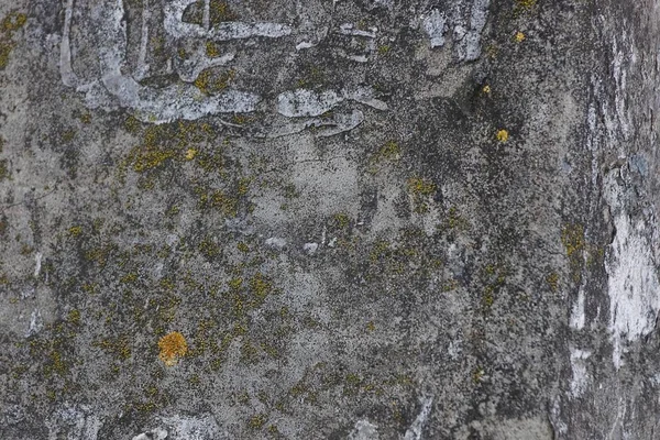 Текстура Сірого Каменю Брудної Бетонної Стіни Фундаменті — стокове фото