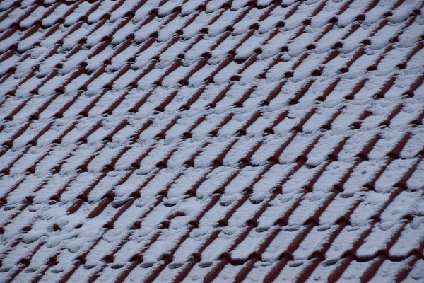 Textura Teja Blanca Marrón Bajo Nieve — Foto de Stock