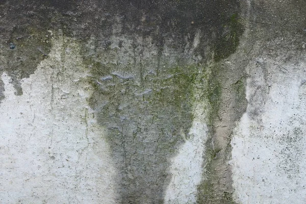 Текстура Сірого Зеленого Каменю Старої Мокрої Бетонної Стіни — стокове фото