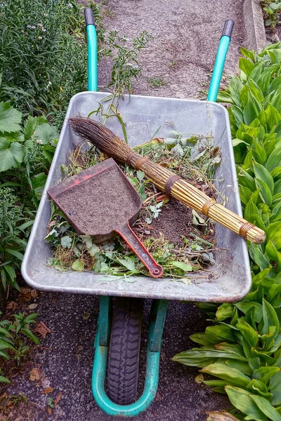 Carrinho Mão Ferro Com Lixo Está Caminho Moitas Vegetação Plantas — Fotografia de Stock