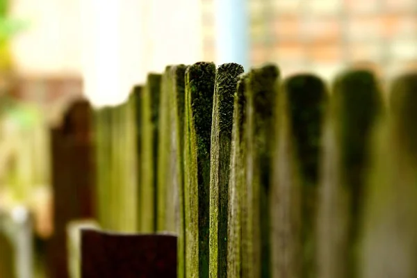 Part Wooden Fence Gray Green Boards — Stock Photo, Image