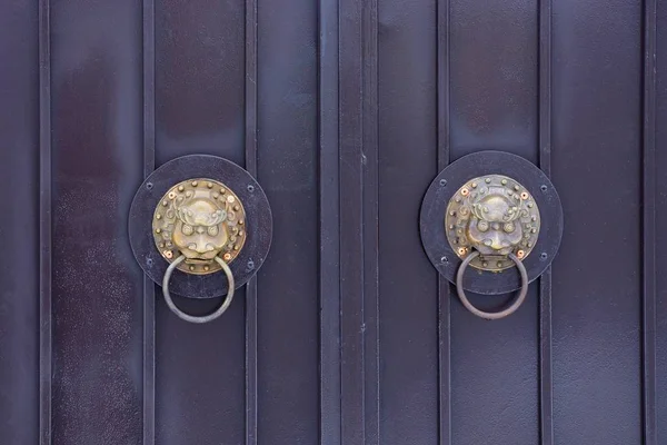 two brown bronze door handles with a lion head on a metal door