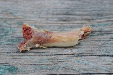 tavuk kemiği küçük bir parça bir gri tablosudur gemide yatıyor