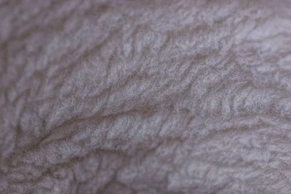 Gray Texture Fur Wool Clothes — Stock Photo, Image