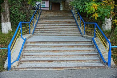 taş merdiven bir eski Beton merdiven Küpeşte yeşil bitki örtüsü ortasında ile üstünde gri