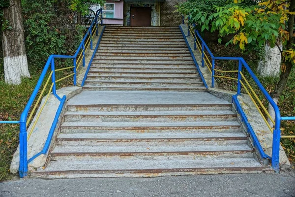 taş merdiven bir eski Beton merdiven Küpeşte yeşil bitki örtüsü ortasında ile üstünde gri