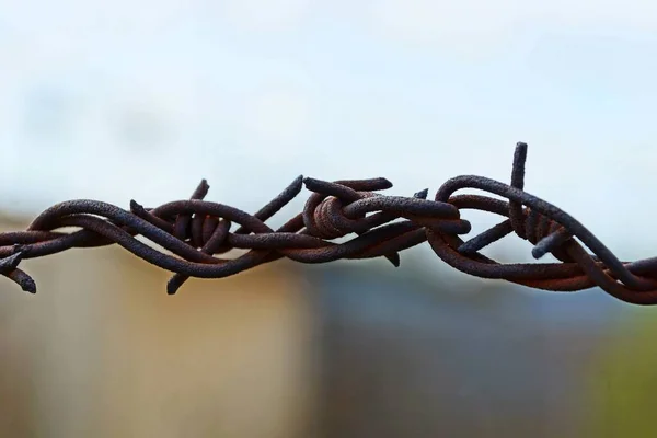 Piece Rusty Barbed Wire Street — Stock Photo, Image