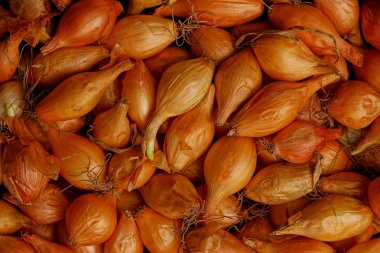 Koyu kahverengi zemin Kuru soğan