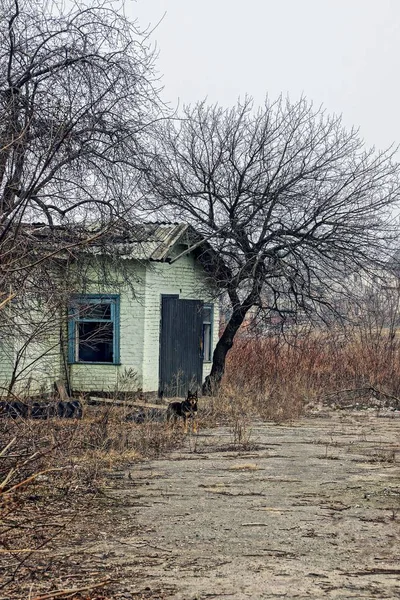 Parte Una Vecchia Casa Mattoni Nel Giardino — Foto Stock