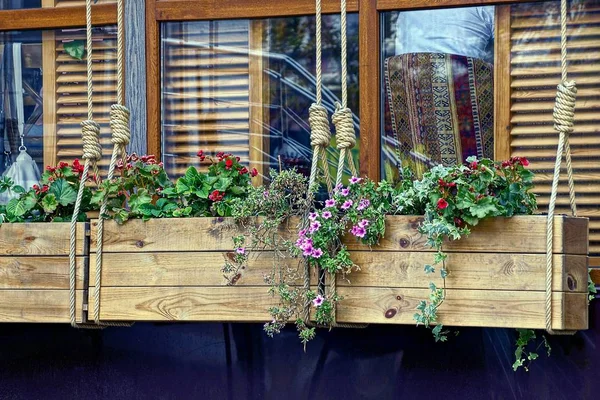 Holzkisten Mit Blumen Hängen Seilen Vor Fenstern — Stockfoto