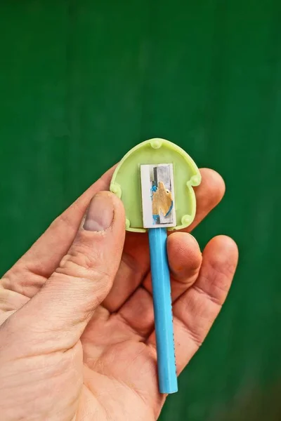 Afiador Com Lápis Mão Fundo Verde — Fotografia de Stock