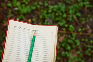 Yeşil kalem ile açılan not defteri