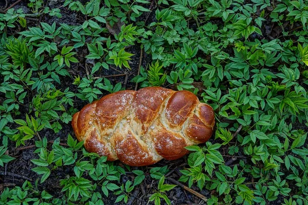 Frisches Brot Grünen Gras — Stockfoto