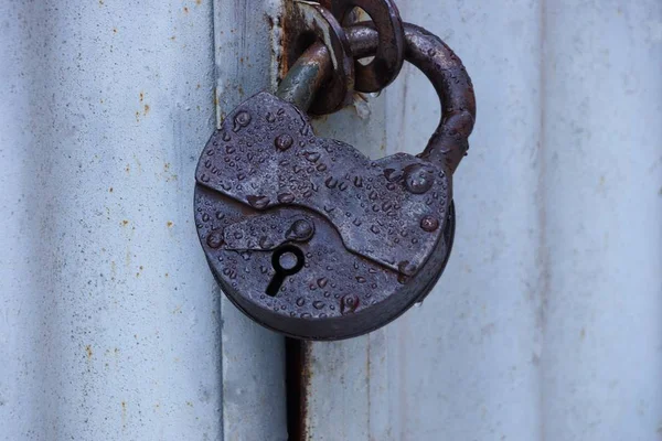 Big Brown Old Padlock Water Drops Gray Metal Door — Stock Photo, Image