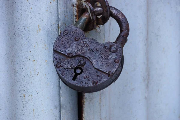 Großes Braunes Altes Vorhängeschloss Wassertropfen Einer Grauen Metalltür — Stockfoto