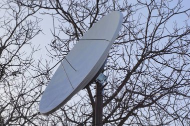 arka plan gri şube ve gökyüzü üzerinde büyük çanak