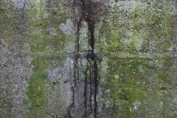 Сірий Зелений Кам Яний Фон Старої Брудної Бетонної Стіни — стокове фото