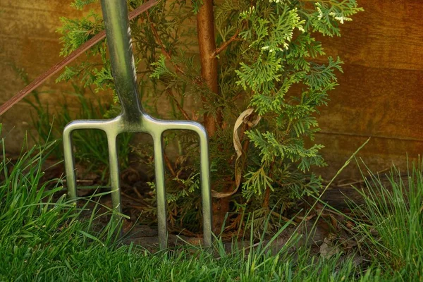 Graue Eisengabeln Grünen Gras Gegen Eine Braune Mauer Eines Zauns — Stockfoto