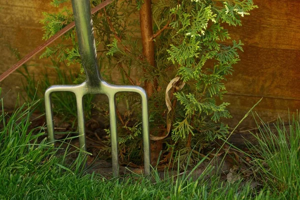 Grijze Ijzeren Vorken Groene Gras Tegen Een Muur Van Een — Stockfoto