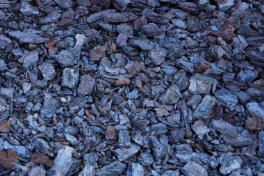 parçalardan bir yığın eski kabuk gri kahverengi doğal doku