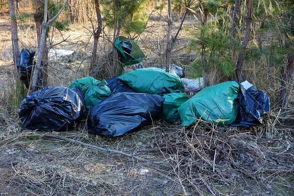 Kilka Plastikowych Worków Śmieciami Naturze Wśród Suchej Trawy Drzew — Zdjęcie stockowe