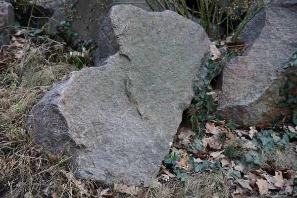 Gran Piedra Gris Encuentra Hierba Seca Suelo —  Fotos de Stock