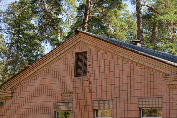 Dachboden Braunes Haus Mit Fenstern Auf Dem Hintergrund Von Bäumen — Stockfoto