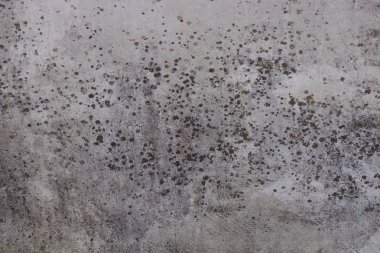 gri Taş Vakfı'nın kirli eski beton duvar kökenli