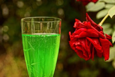 Bir yeşil cam içmek kırmızı bir gül tomurcuk içinde