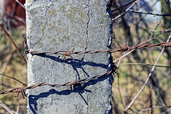 Barbed Wire Gray Concrete Pillar — Stock Photo, Image