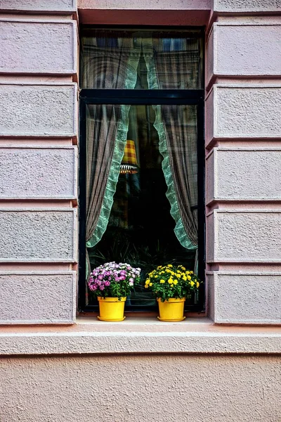 Braunes Fenster Gebäude Und Ein Blumentopf Mit Blumen — Stockfoto