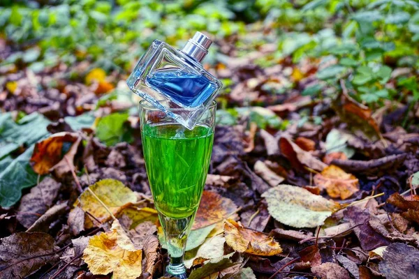 A glass with a green drink and a bottle of perfume on dry fallen leaves