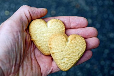 Bir avuç içi yeşil bir arka plan üzerinde kalp şeklinde iki kuru kurabiye