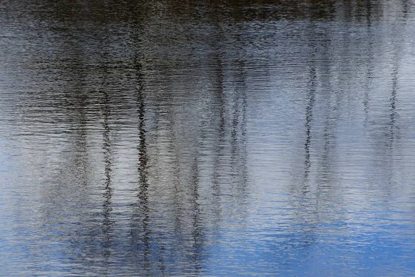 Textura Natural Del Reflejo Las Ramas Cielo Agua Del Depósito — Foto de Stock