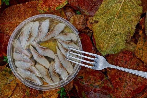 Шматок Риби Виделці Повній Тарілці Листі — стокове фото