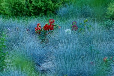 Bitkiler ve çiçekler yaz günü doğada