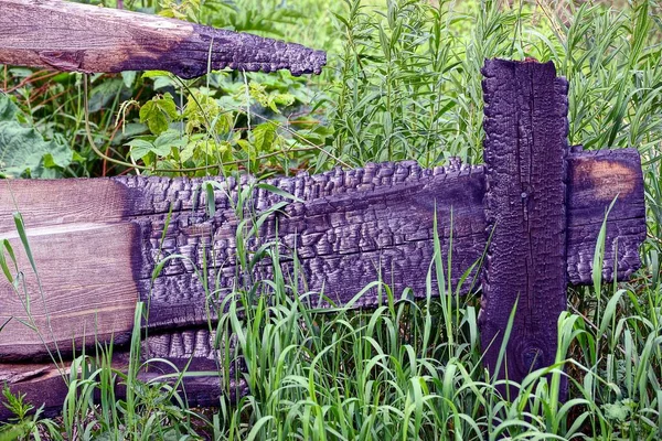 Burnt boards of a wooden fence in green grass and vegetation