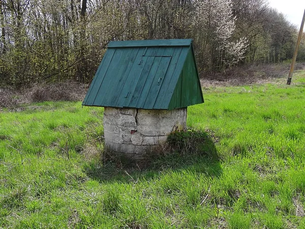 Dobře Zelená Zelené Trávě — Stock fotografie