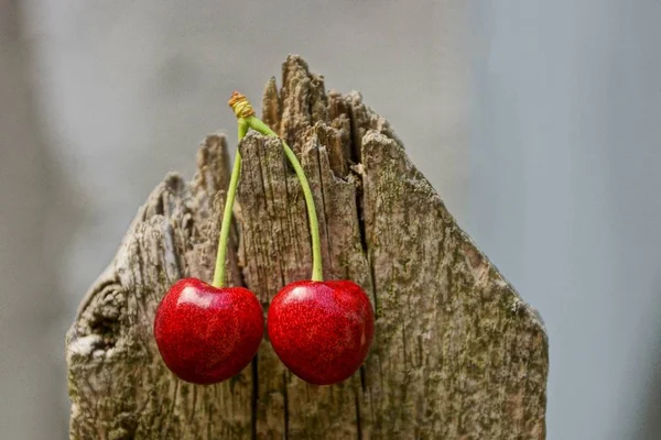 Deux Cerises Rouges Mûres Sur Fond Gris — Photo