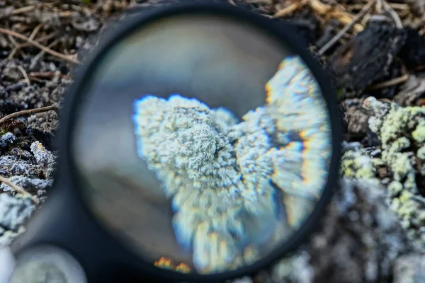 Vergrootglas Verhoogt Grijs Wit Mineraal Aarde — Stockfoto