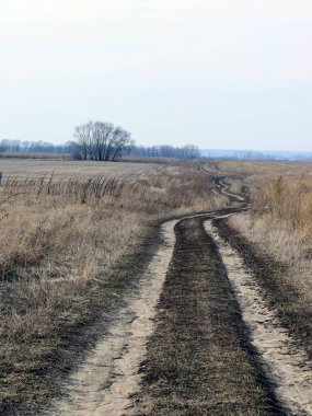 kuru ot ile bir alanda kırsal yol