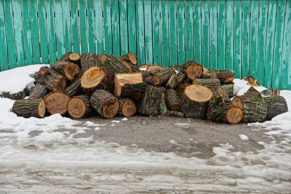 Baumstämme Und Brennholz Grünen Zaun Schnee — Stockfoto