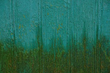 Yeşil arka plan boyalı duvar panoları bina