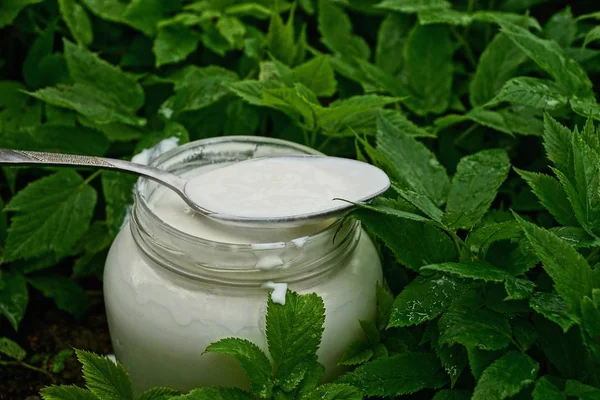 Jar Spoon Sour Cream Green Grass — Stock Photo, Image