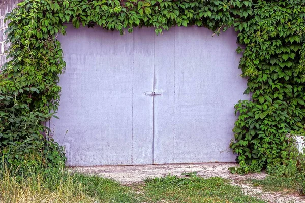 緑の植生で生い茂った灰色の鉄門 — ストック写真
