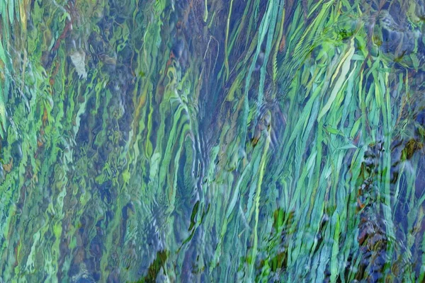 Υφή Του Πράσινου Χόρτου Κάτω Από Νερό — Φωτογραφία Αρχείου