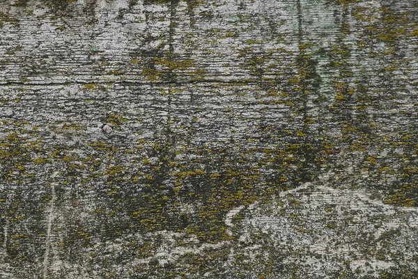 Сірий Дерев Яний Фон Широких Дощок Стіні Паркану — стокове фото