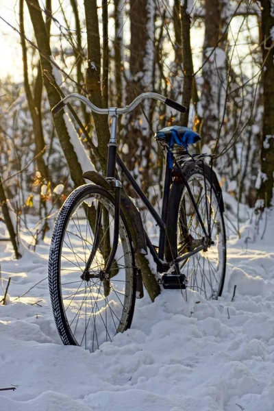 Черный Старый Велосипед Снегу Лесу — стоковое фото