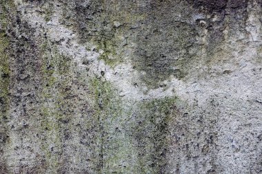 Bina duvarının beton temelinden gri arka plan