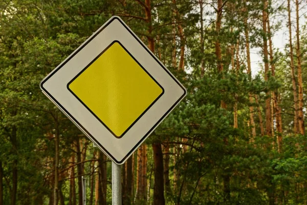 Road Sign Hoofdweg Een Dennenbos — Stockfoto